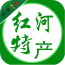 红河特色小吃