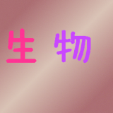 初中生英语助手