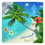 Beauty Bay