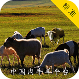 中国肉类网