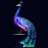 无损音乐