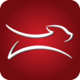 Spark Pro