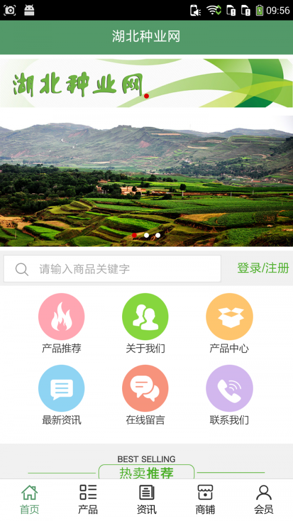 湖北种业网截图