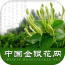 中国金币网