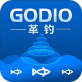 Godox Light