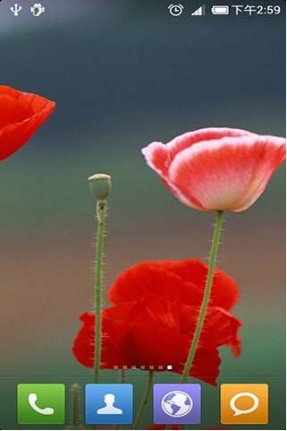 唯美动态壁纸软件