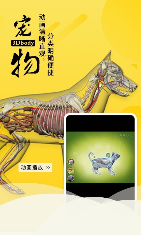 3Dbody宠物软件