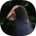 SEEK寻境