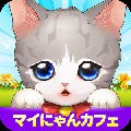 我的猫咪很可爱