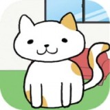 我的猫咪咖啡店