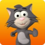 小猫的情书