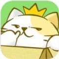猫咪的一生
