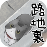 迷路的小猫
