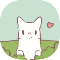 Cat Kindergarten