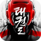 跆拳道大师