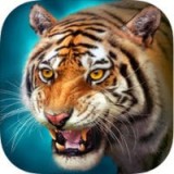 The Game of The Playful