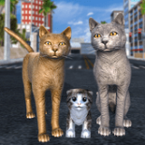猫咪家族