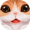 小猫咪回家记