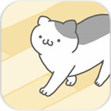 猫咪很可爱