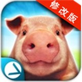 可爱小鸟群
