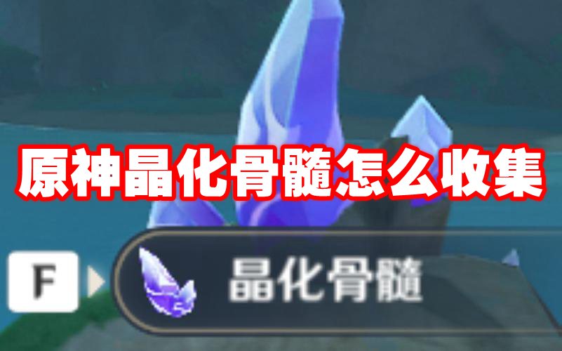 原神晶化骨髓怎么获取游戏攻略
